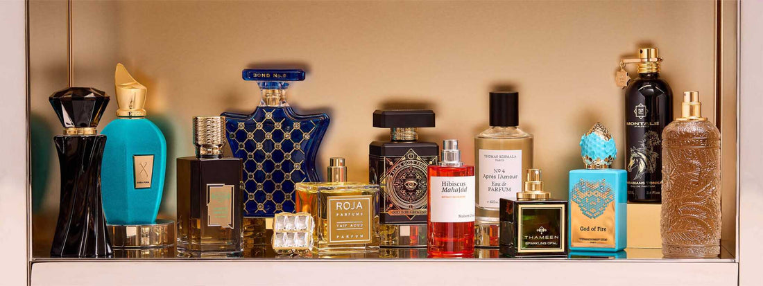 Discover the world of niche branded fragrances at Zyra Fragrances