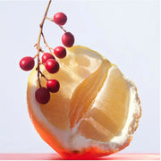 Omnia Coral EDT 100ml