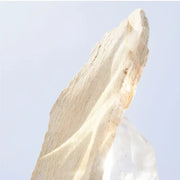 Omnia Crystalline EDT 50ml